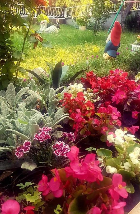 Apartman Nata Senj  Bagian luar foto